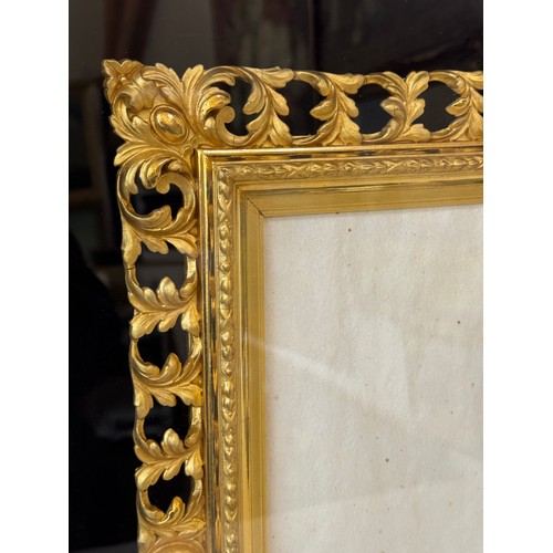 1655 - A pair of ornate pierced gilt frames with scrolling leaf decorations, housed in shadow box frames, B... 