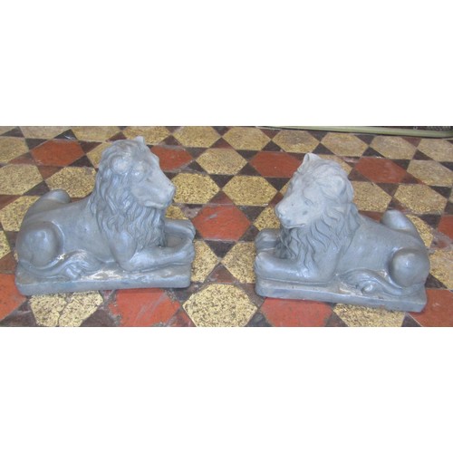 513 - A pair of cast composition stone recumbent lions 33 cm high x 40 cm long x 20 cm wide