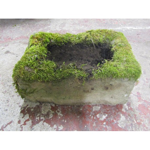 521 - A small shallow but thick walled rectangular natural stone trough, 20cm high x 48cm x 30cm