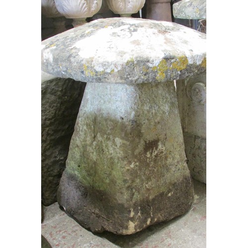 507 - A weathered carved natural stone staddle stone and associated cap, 70cm high, 60cm diameter.