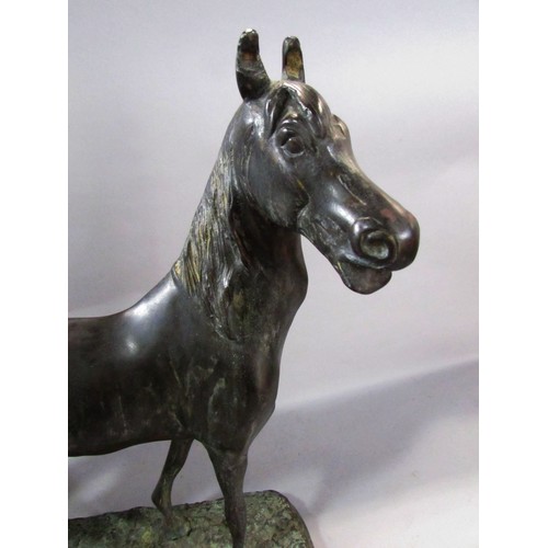 560 - A bronze study of horse, alert, with ears pricked, 38.5 cm high x 33cm (plinth)