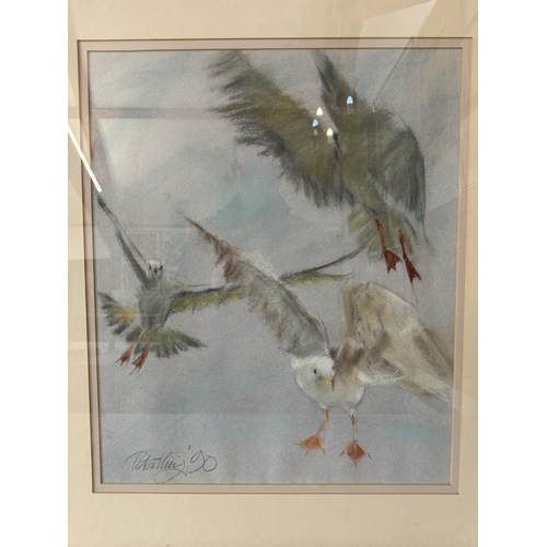 1565 - Peter King (Contemporary) - Seagulls (1990), pastel on paper, signed and dated in pencil below, 50 x... 