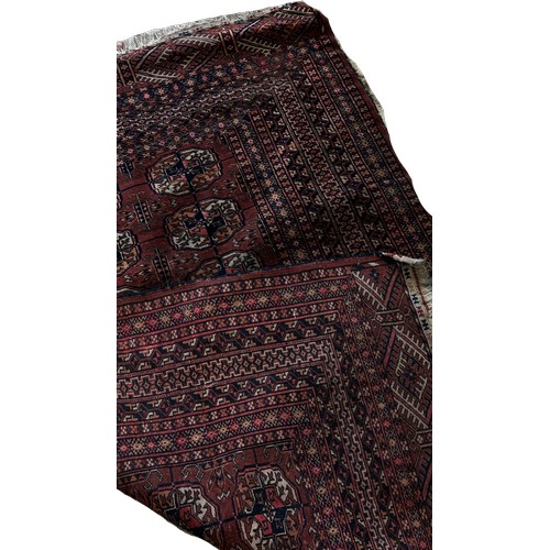 1489 - A Bokara Tekke rug with two rows of elephant foot guls on a red ground, 147cm x 103cm approximately