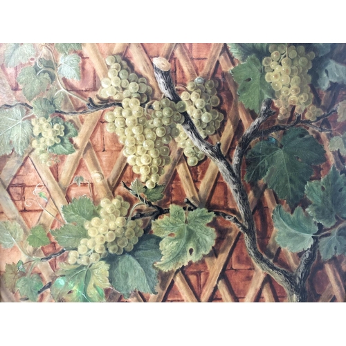 1544 - Early 20th Century - Grapes on the vine, indistinctly signed 'Helene Nisa...?' lower left, oil on ca... 