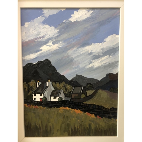 1579 - David Barnes (1943-2021) - 'Rhinog Farm', oil on board, signed and titled verso, 29 x 39.5 cm, frame... 