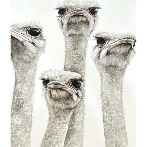 1662 - Dominique Salm (b.1972) 'Ostriches' (2), watercolour on paper, signed in pencil below, 76.5 x 56 cm,... 