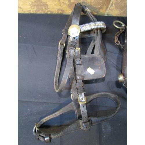 1061 - A heavy good quality leather horse collar, further horse harness and a working dog harness collar