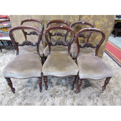 1091 - Set of six Victorian mahogany dining chairs with upholstered seats on turned supports