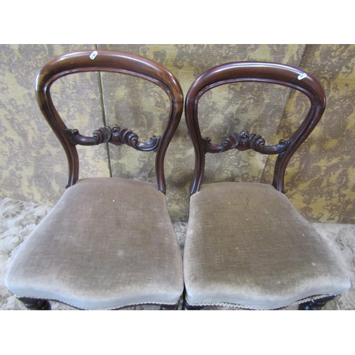 1091 - Set of six Victorian mahogany dining chairs with upholstered seats on turned supports