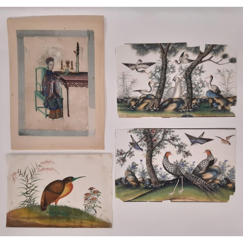 1697 - Four mid 19th century Chinese pith paintings of exotic birds and an Empress, to include: A Qing dyna... 