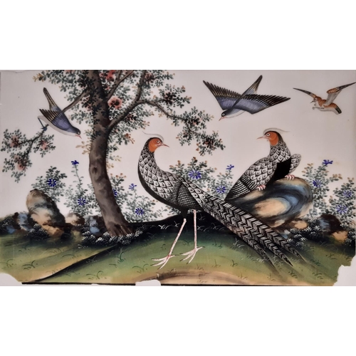 1697 - Four mid 19th century Chinese pith paintings of exotic birds and an Empress, to include: A Qing dyna... 