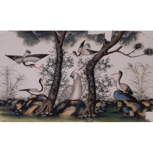 1697 - Four mid 19th century Chinese pith paintings of exotic birds and an Empress, to include: A Qing dyna... 