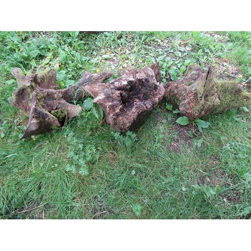 1097 - 4 weathered sculptural sections of tree stump (varying size), all approx 40 cm high, one 80 cm long