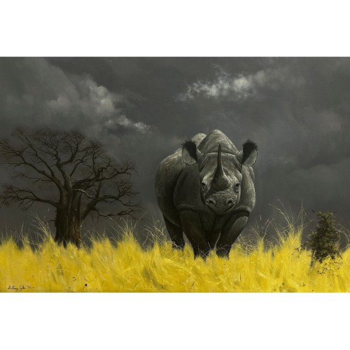 1808 - Anthony Gibbs (b.1951) -  Rhino with dark sky above (1973), signed and dated lower left, oil on canv... 