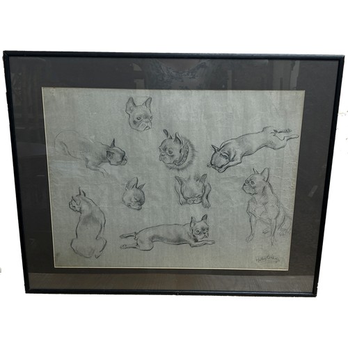 1809 - Molly Bishop (1911-1998) - Studies of French bulldogs, charcoal on paper, signed lower right, 46 x 6... 