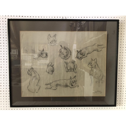 1809 - Molly Bishop (1911-1998) - Studies of French bulldogs, charcoal on paper, signed lower right, 46 x 6... 