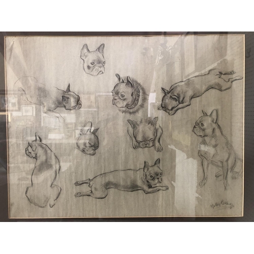 1809 - Molly Bishop (1911-1998) - Studies of French bulldogs, charcoal on paper, signed lower right, 46 x 6... 