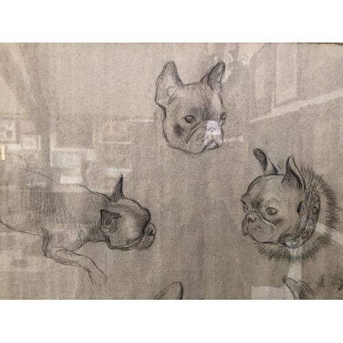 1809 - Molly Bishop (1911-1998) - Studies of French bulldogs, charcoal on paper, signed lower right, 46 x 6... 