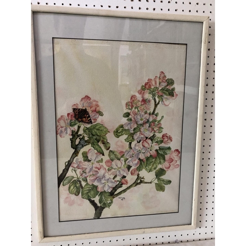 1815 - Jan Long (20th Century) - Butterfly on blossom (1987), watercolour on paper, signed and dated below,... 