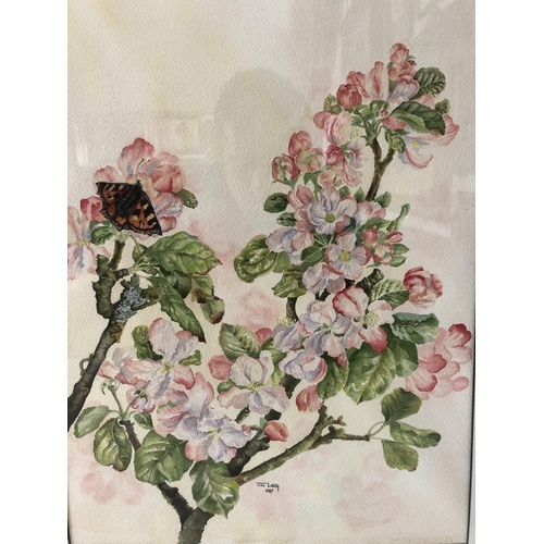 1815 - Jan Long (20th Century) - Butterfly on blossom (1987), watercolour on paper, signed and dated below,... 