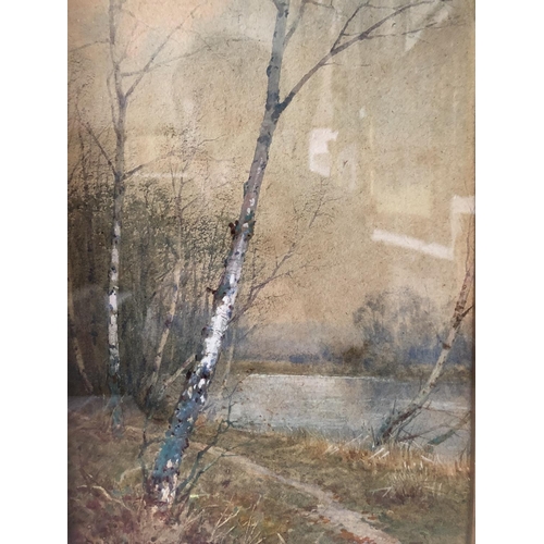 1817 - Parker Hagarty (1859-1934) - 'Silver Birch by Silent Pool', signed lower left with artist's name and... 