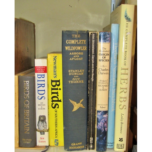 653 - A small library of Natural History interest, especially birds (8) including The Complete Wildfowler ... 