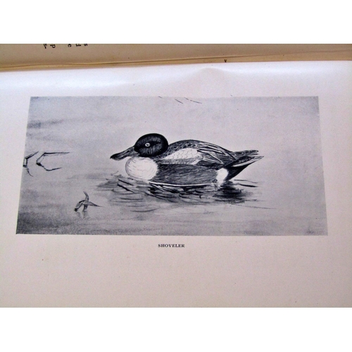 653 - A small library of Natural History interest, especially birds (8) including The Complete Wildfowler ... 