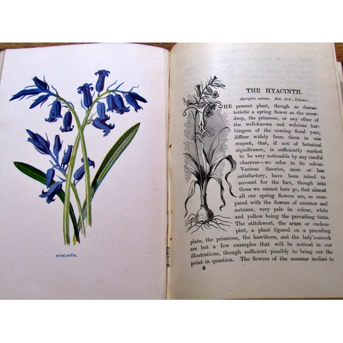 716 - Natural history interest to include Hulme's Familiar Wild Flowers (1912), Cassell's Feathered Tribes... 