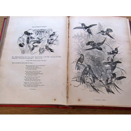 716 - Natural history interest to include Hulme's Familiar Wild Flowers (1912), Cassell's Feathered Tribes... 