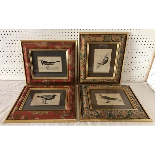 1854 - Four c.1880 hand-coloured prints of bird studies framed as a set in floral printed frames, frame dim... 