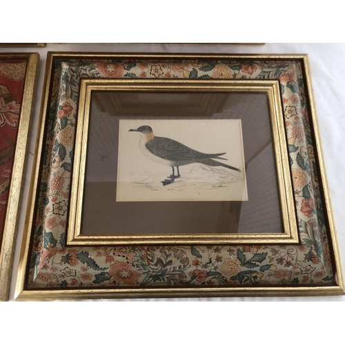 1854 - Four c.1880 hand-coloured prints of bird studies framed as a set in floral printed frames, frame dim... 