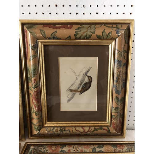 1854 - Four c.1880 hand-coloured prints of bird studies framed as a set in floral printed frames, frame dim... 