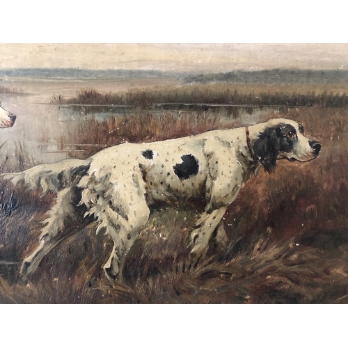 1900 - Rolier (20th Century) - Two setters in the marsh, oil on canvas, signed lower right, 27 x 41 cm, fra... 