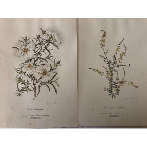 1906 - The Elizabeth Cameron Collection of Douro Wild Flowers - a collection of six limited edition of 400 ... 