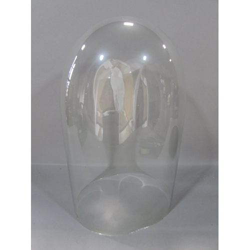 563 - A glass dome display case set into an oval wooden base, 37cm x 23cm.