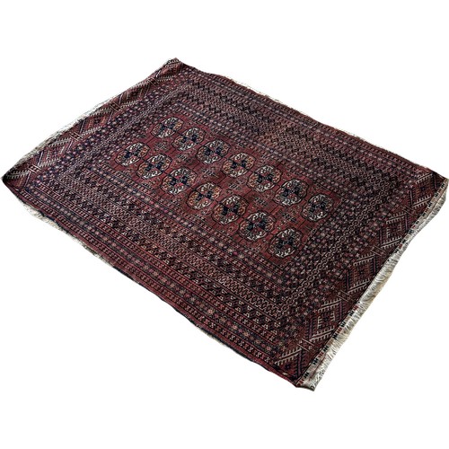 1788 - A Bokara Tekke rug with two rows of elephant foot guls on a red ground, 147cm x 103cm approximately