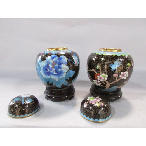 560 - Two Chinese cloisonné ginger jars flowers on stylised clouds, both with stands 13cm including stand,... 