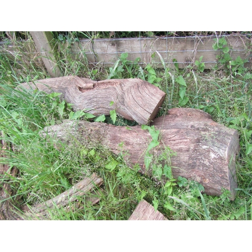 1058 - Eighteen weathered sculptural pieces/sections of tree trunk, branches, etc (varying size)