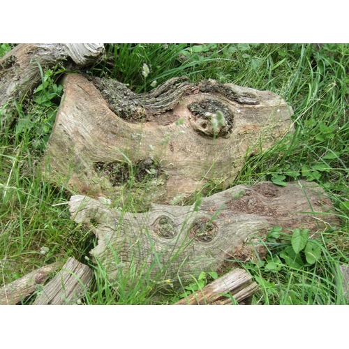 1058 - Eighteen weathered sculptural pieces/sections of tree trunk, branches, etc (varying size)