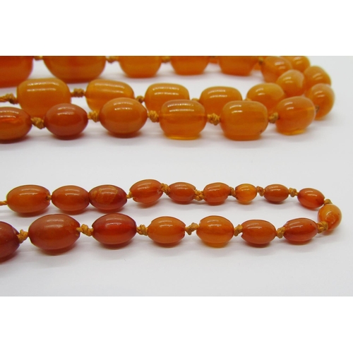 420 - Long graduated amber coloured bead necklace, largest bead 3 x 2.2cm approx, 135g