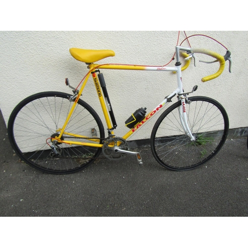 1748 - A vintage Team Falcon racing bike