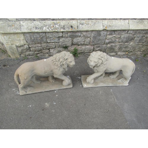 1216 - A pair of cast composition stone garden terrace/pier ornaments in the form of standing lions 55 cm h... 