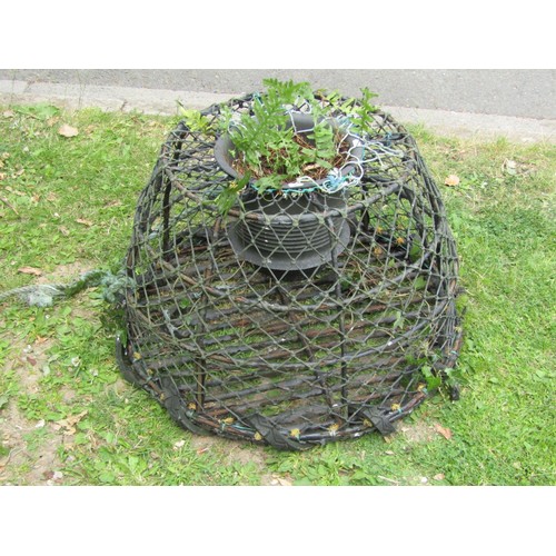 1230 - A lobster pot later adapted as a garden planter