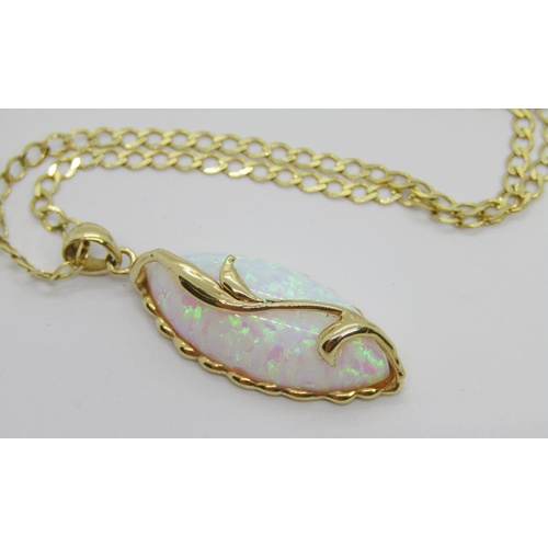 310 - 14ct marquise-cut cabochon opal pendant hung from a 14ct curb link chain necklace, chain 50cm L appr... 