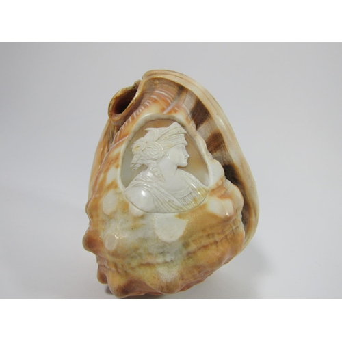 357 - A conch shell carved with a cameo of a classical lady, plus a quantity of costume jewellery