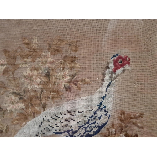 1955 - Three 19th century framed tapestries, to include: a bouquet of flowers, 19 x 22.5 cm; pheasant in a ... 