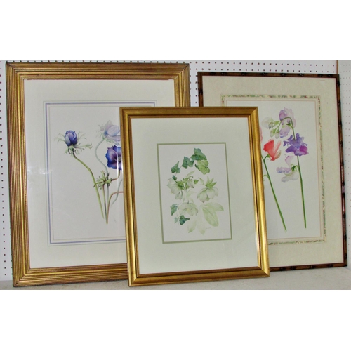 1967 - Three watercolour botanical studies by different artists, to include: Flappy Lane Fox (British, Cont... 