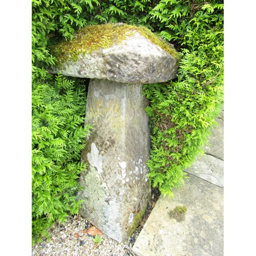 1002 - A tall associated pair of weathered natural staddle stones, each with tapered square caps, 100cm hig... 