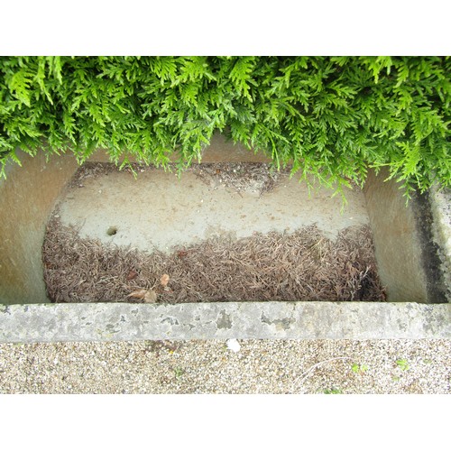 1008 - A large weathered natural stone planter / trough of rectangular form with rounded end and carved cha... 