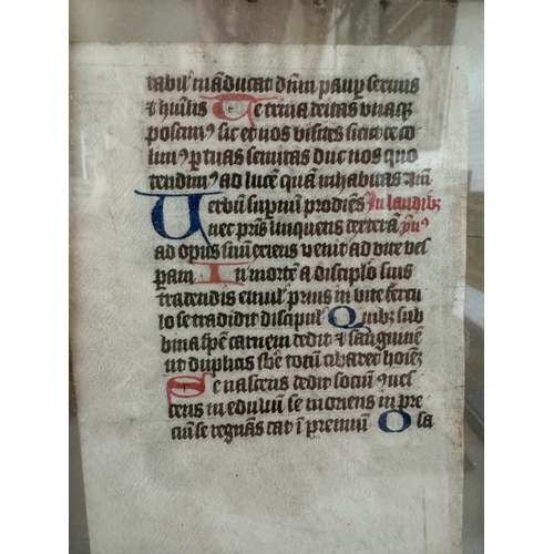 1984 - A framed manuscript leaf, probably from a Book of Hours, calligraphy in ink and polychromatic pigmen... 